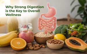 digestive system