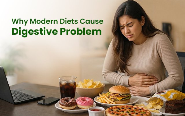 Why Modern Diets Cause Digestive Problem