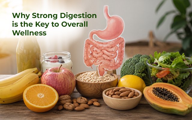 Why Strong Digestion is the Key to Overall Wellness